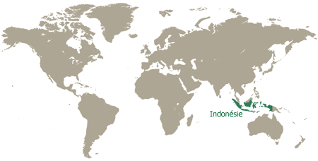Situation géographique de l'Indonésie